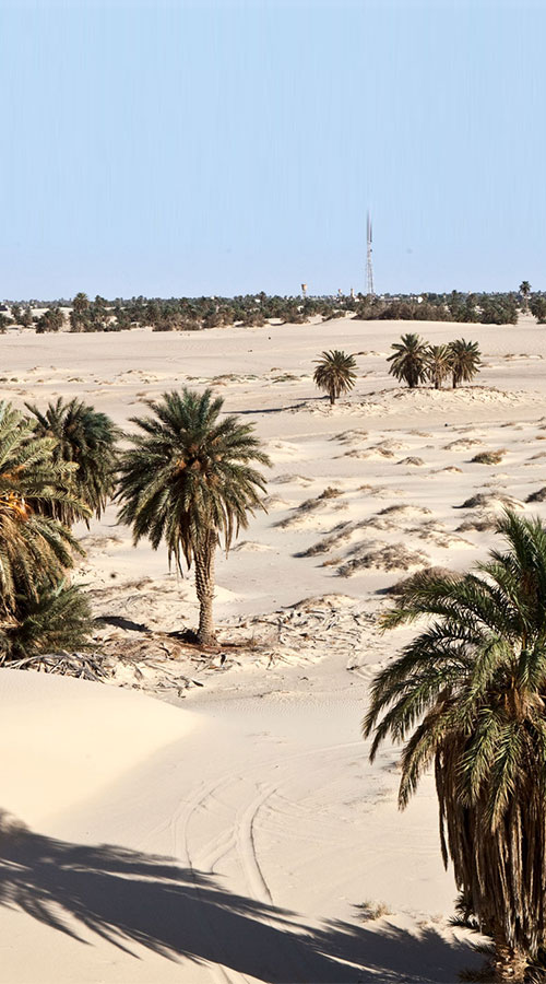 Wintershall Dea Libyen Wüste Oase