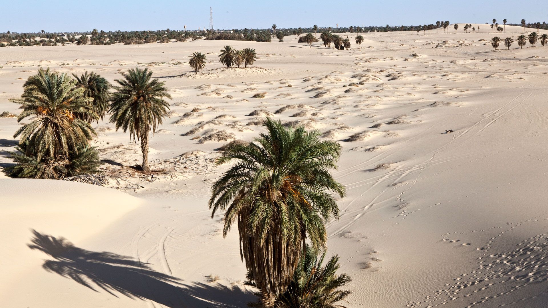 Wintershall Dea Libya Desert Oasis