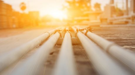 Wintershall Dea Allensbachumfrage hero