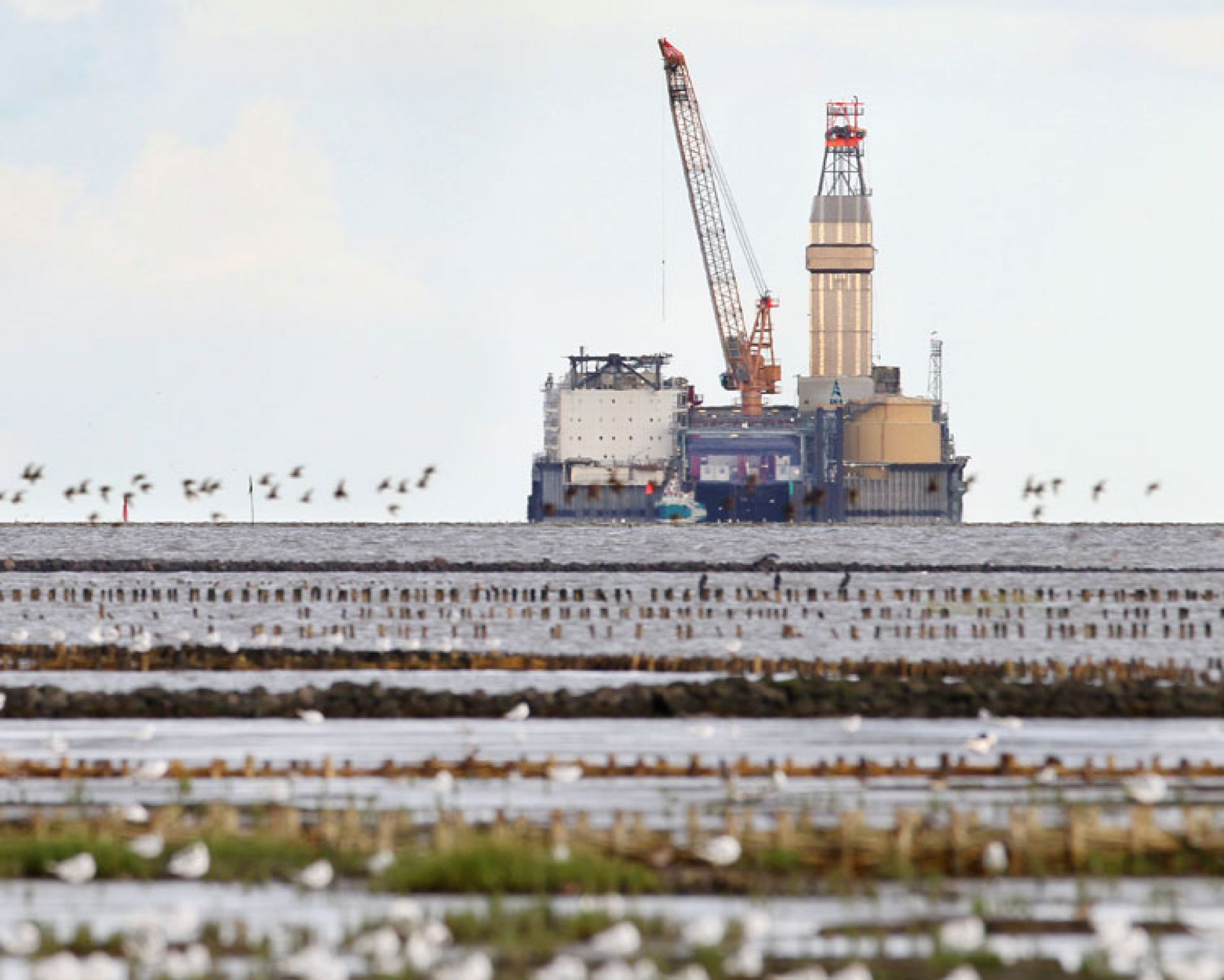 Wintershall Dea Coast Mittelplate Island