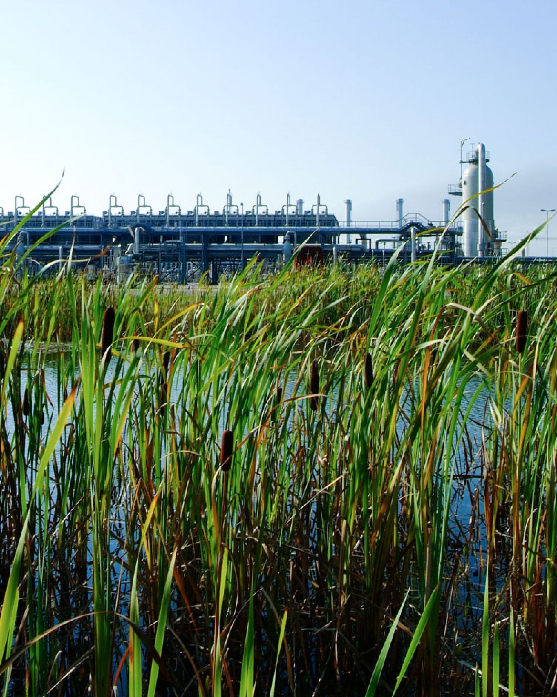 Wintershall Dea Natural Gas Storage Rehden