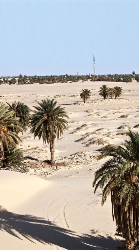 Wintershall Dea Libya Desert Oasis