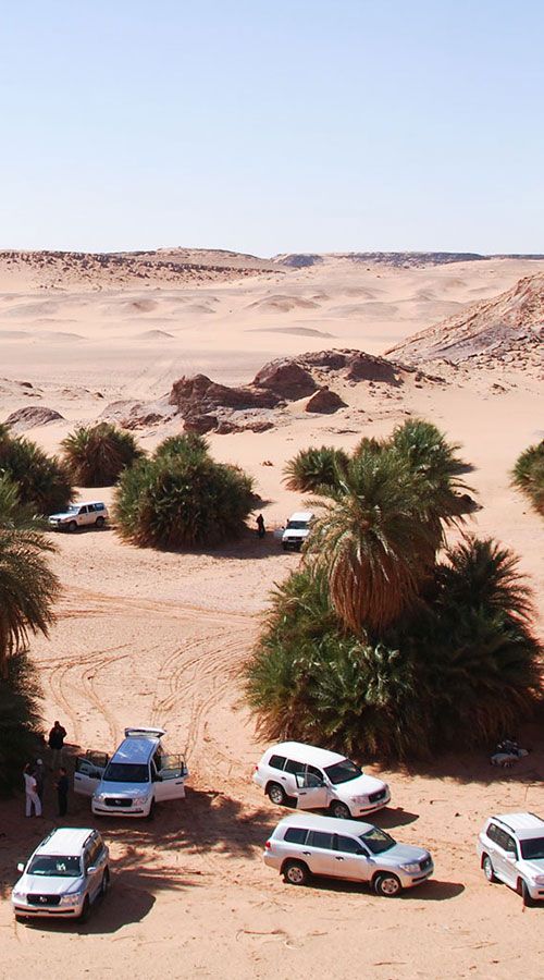 Wintershall Dea Algeria Reggane Desert